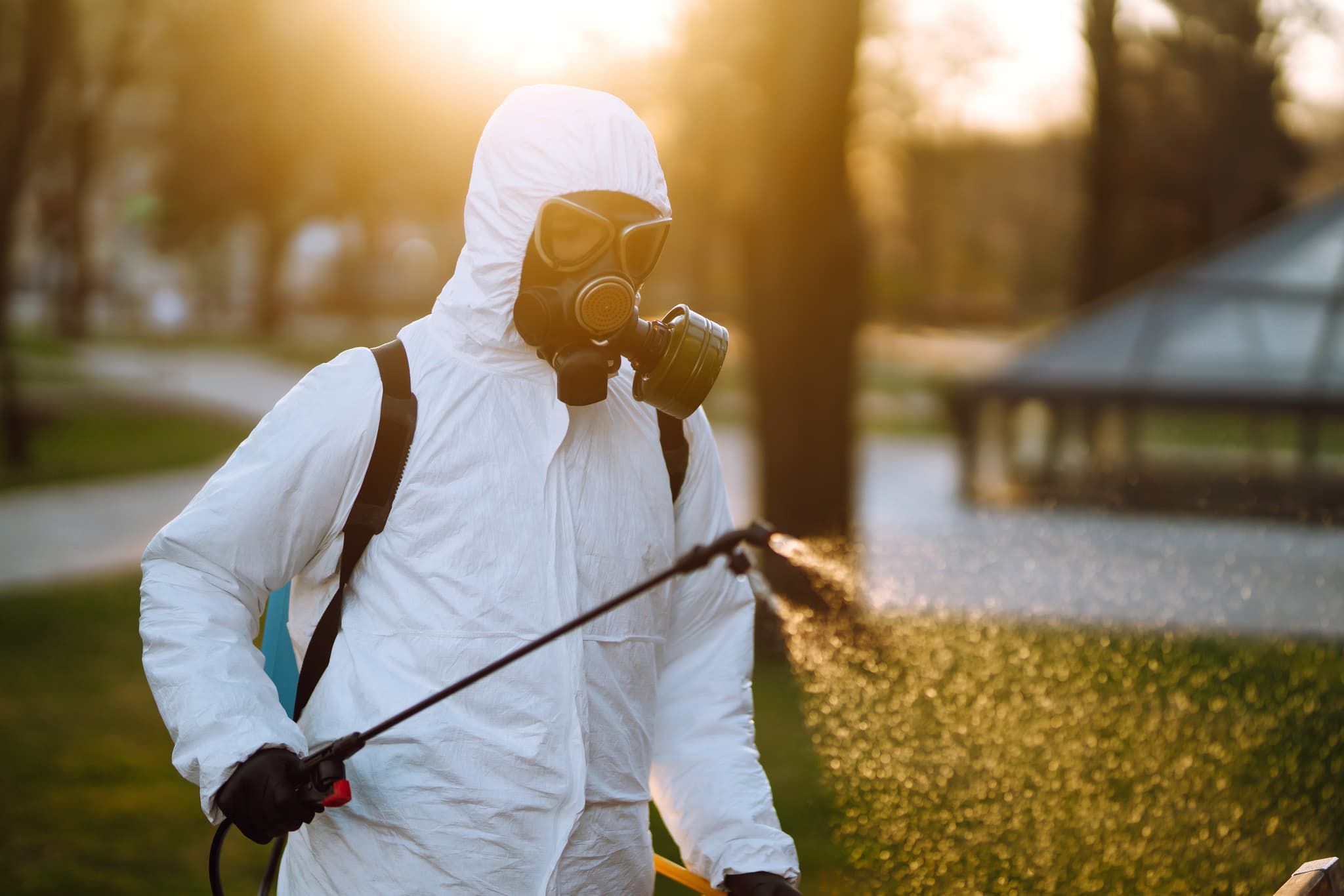 Safe and Effective Pest Control Service